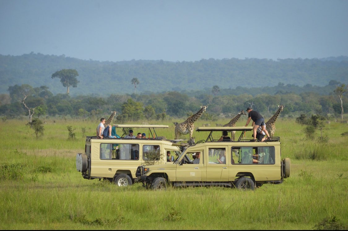 6 DAYS WILDLIFE SAFARI