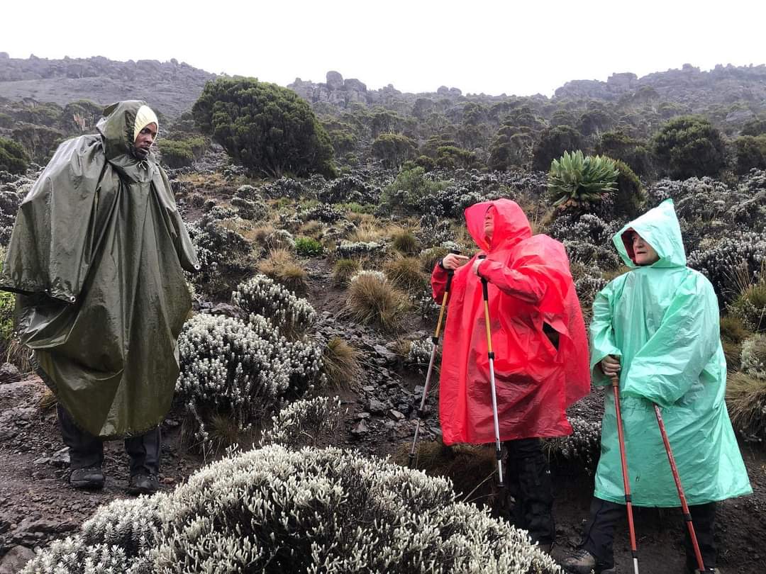 Is difficult to Climb Kilimanjaro ?